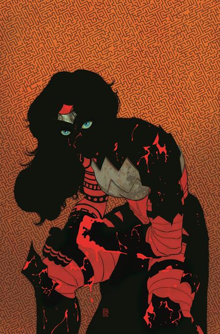 ABSOLUTE WONDER WOMAN #11 CVR A HAYDEN SHERMAN - ISBN: 76194138586001111 - Release Date: 8/27/25