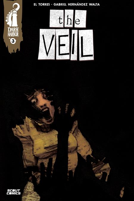 VEIL #3 (OF 4) CVR A GABRIEL HERNANDEZ WALTA (Resolicit) (MR) - Release Date: 12/26/24