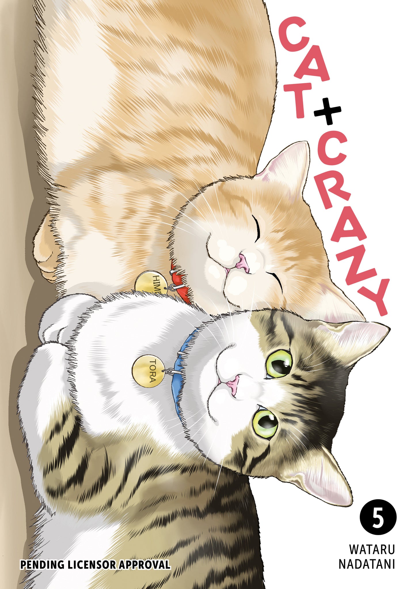 Cat + Crazy Volume 5 ISBN: 9781506747125 - FOC DATE: 8/23/26 - Release Date: 11/24/26
