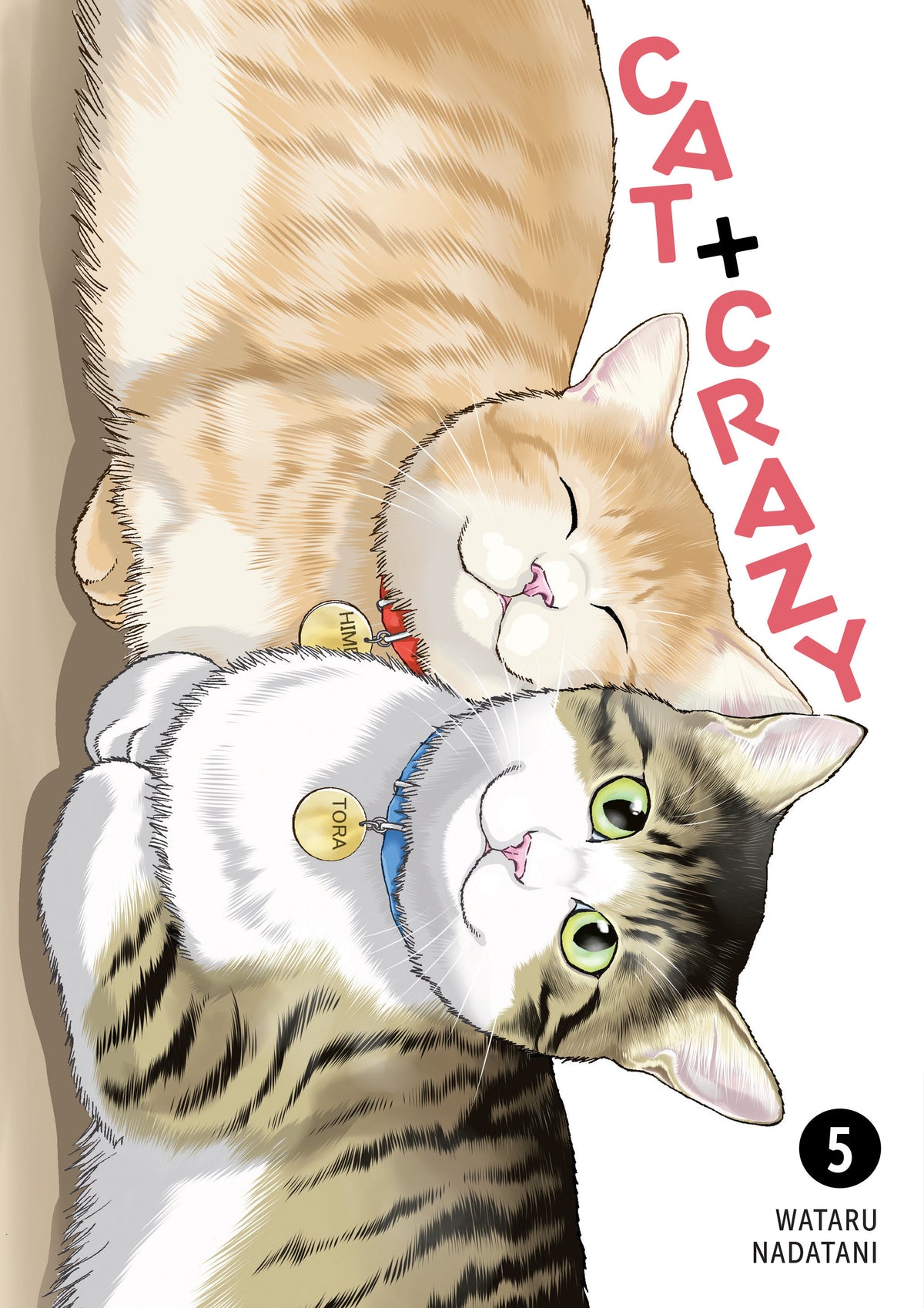 Cat + Crazy Volume 5 ISBN: 9781506747125 - FOC DATE: 8/23/26 - Release Date: 11/24/26