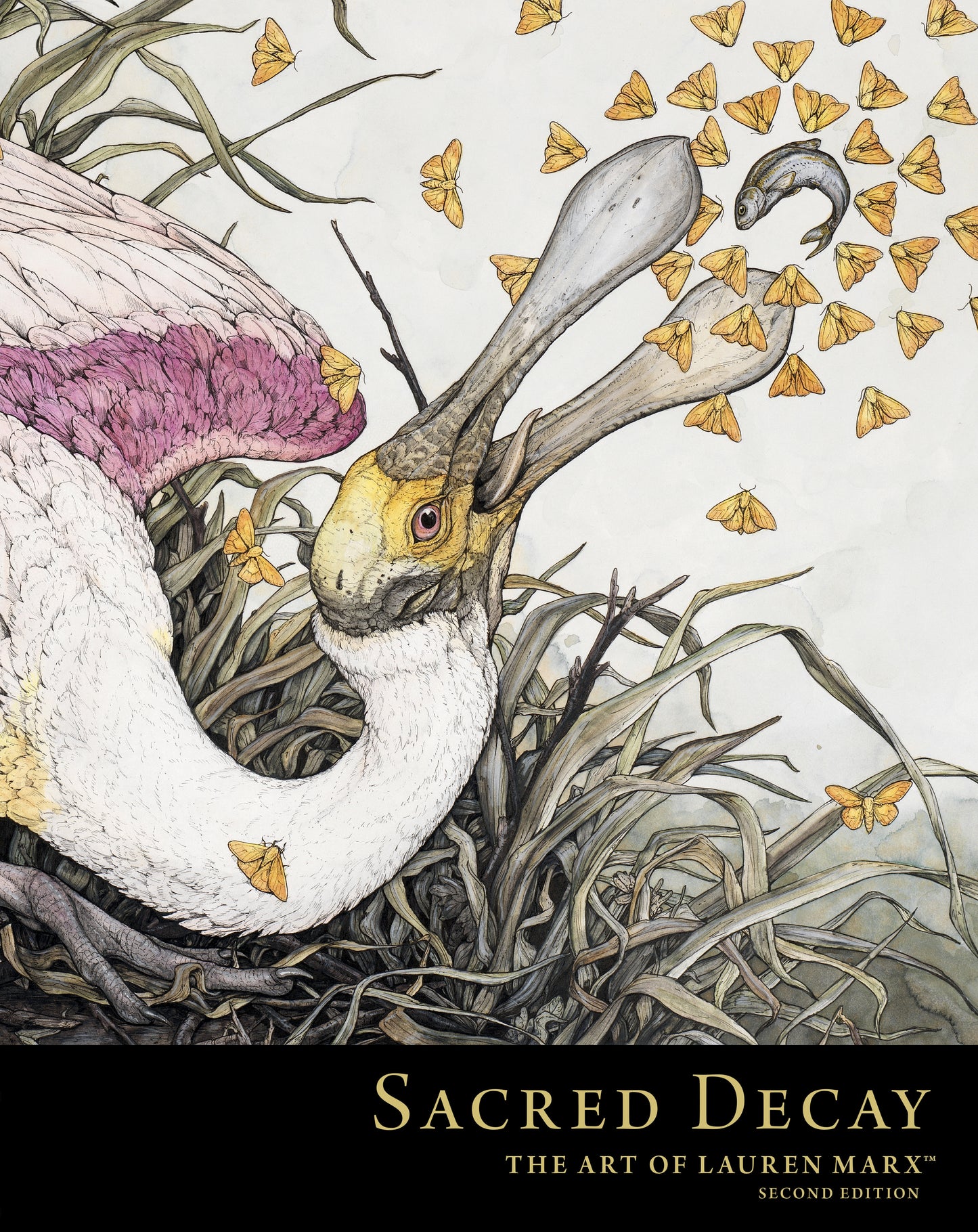 Sacred Decay: The Art of Lauren Marx (Second Edition) - Release Date: 07/22/2025