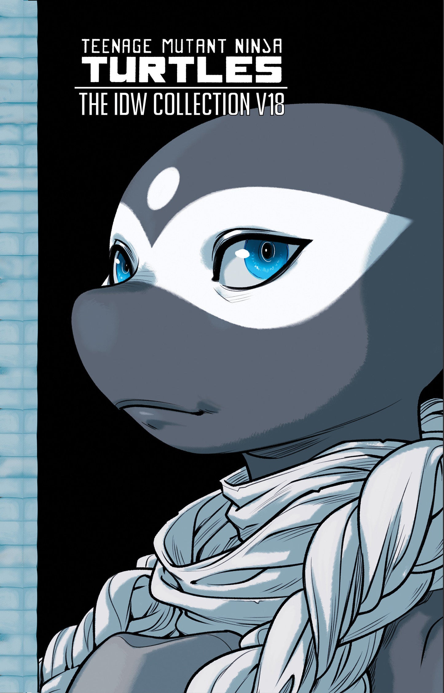 Teenage Mutant Ninja Turtles: The IDW Collection, Volume 18 - ISBN: 9798887243153 - Release Date: 9/2/25