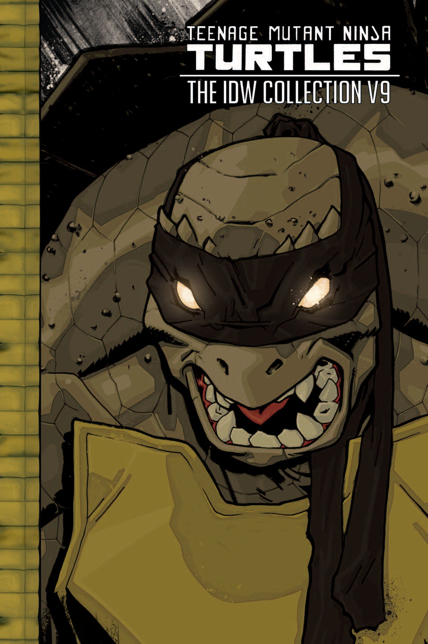 Teenage Mutant Ninja Turtles: The IDW Collection Volume 9 ISBN: 9798887243955 - FOC DATE: 2/23/26 - Release Date: 3/31/26