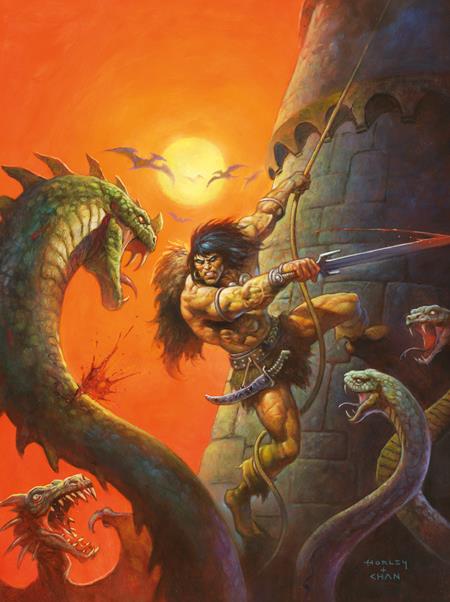 SAVAGE SWORD OF CONAN #17 CVR C ALEX HORLEY VIRGIN CARDSTOCK VAR (MR) ISBN: 79361173690001731 - FOC DATE: 10/18/26  - Release Date: 11/11/26