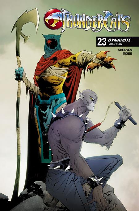 THUNDERCATS #23 CVR C JAE LEE VAR ISBN: 72513034116723031 - Release Date: 1/28/26