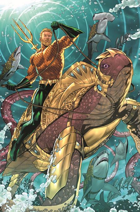 AQUAMAN #2 CVR C LUCAS MEYER CARD STOCK VAR  - Release Date:  2/12/25