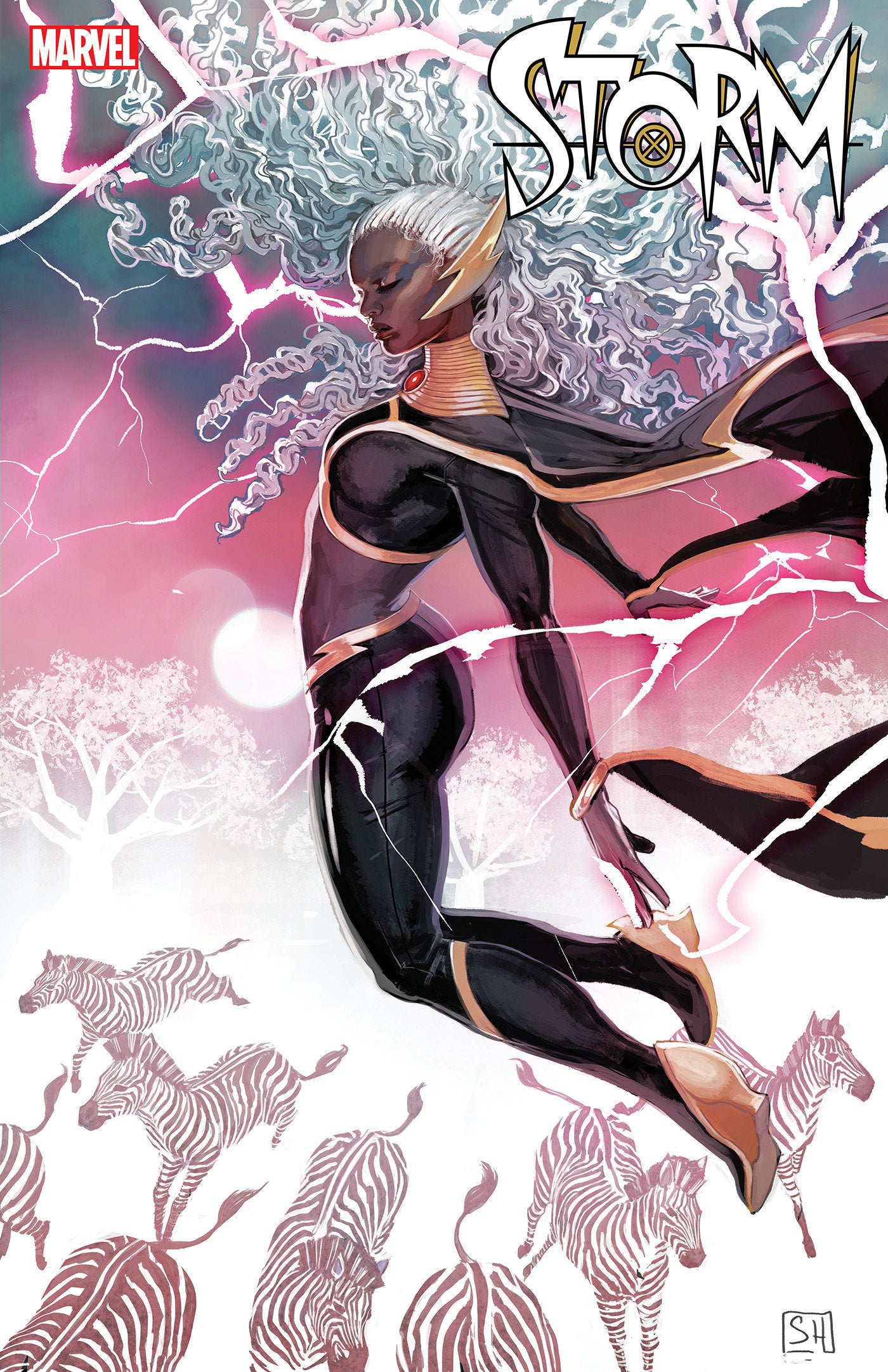 1:25 STORM #2 STEPHANIE HANS VARIANT  - Release Date:  11/20/24