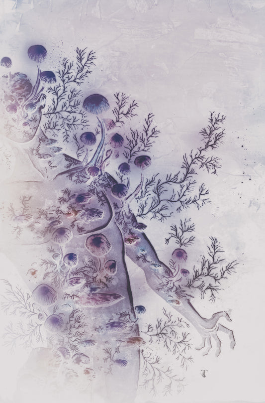 In Bloom #4 B Variant (Dressed, Templesmith)  - Release Date:  5/7/25