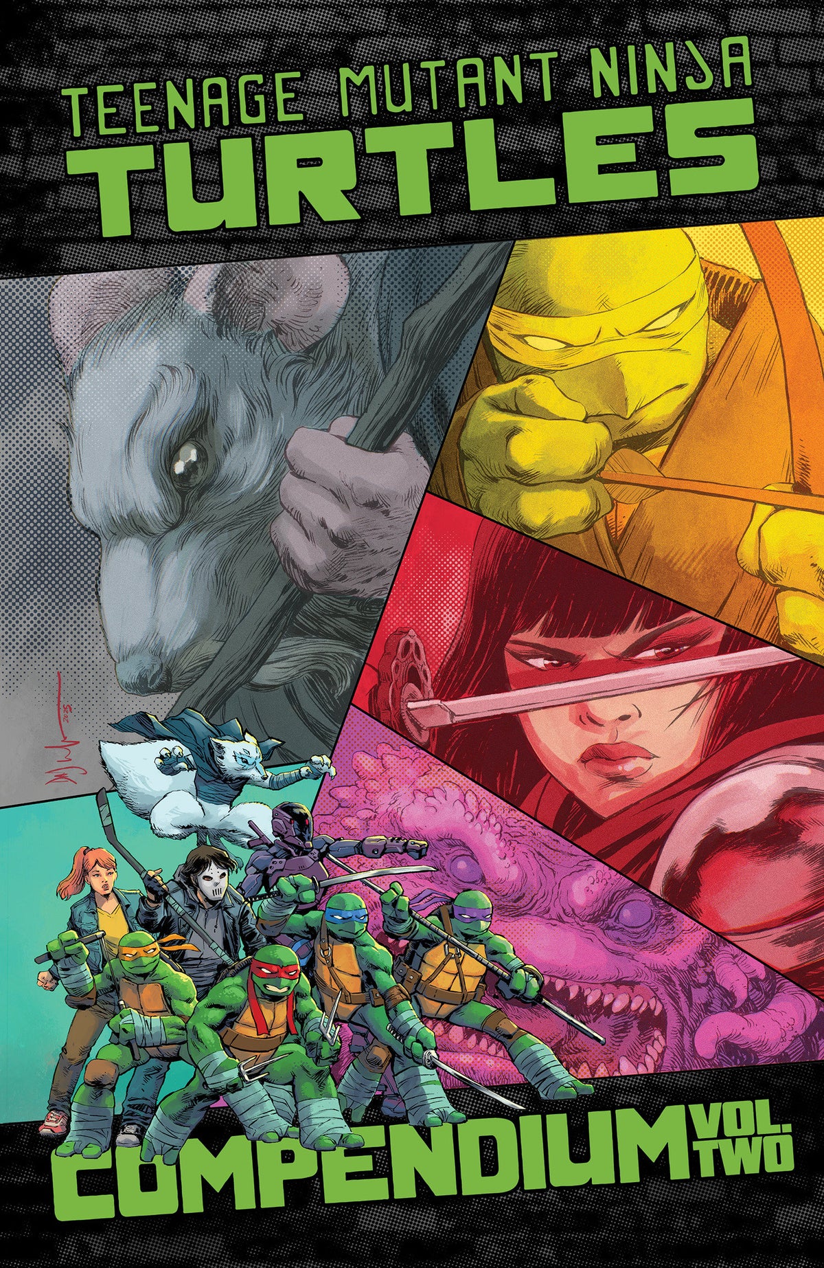 Teenage Mutant Ninja Turtles: Ongoing Compendium, Vol. 2 ISBN: 9798887244587 - FOC DATE: 6/7/26  - Release Date: 7/14/26